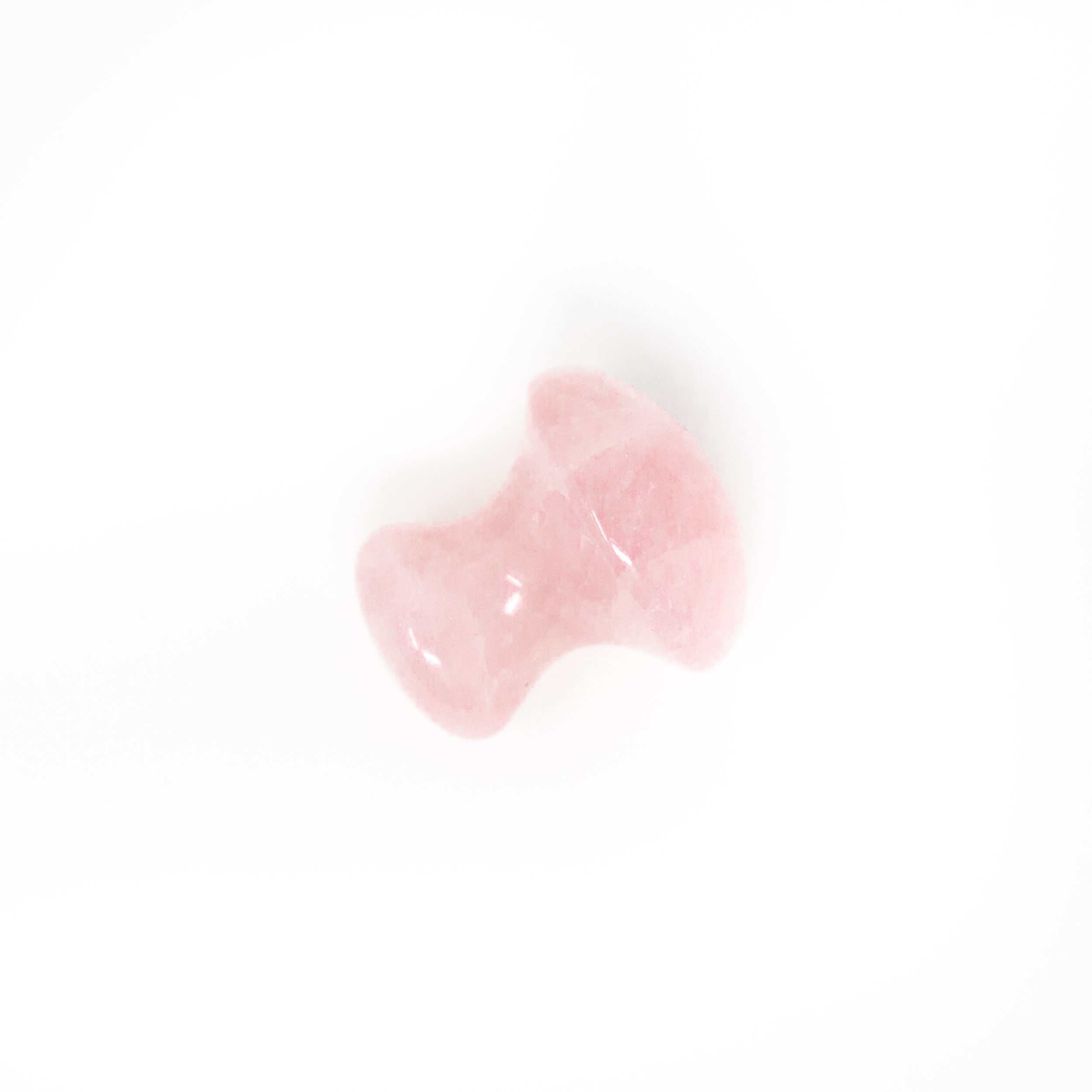 RQ mushroom
